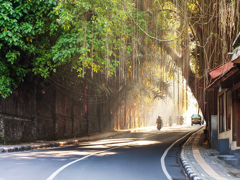 Curving street through Ubud town, Bali, Indonesia with a motorcyclist and vehicles and trees overhanging the road, golden light at the far end